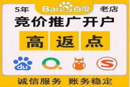某品牌SEM推广代运营的实践与效果评估